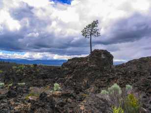Lave Butte-0751.jpg Lave Butte-0751.jpg